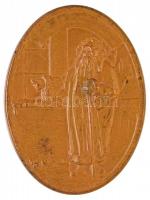 Ausztria 1911. "Karácsonyi, újévi jókívánság" Br ovális emlékérem peremen "BRONZE&quo...