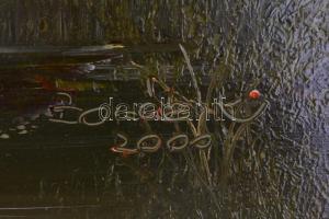 Bocsák Krisztina (1964- ): Hajnali fények. Olaj, farost, jelzett, díszes fa keretben, hátoldalán cím...