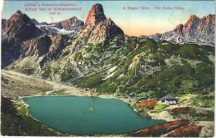 1917 Tátra, Magas-Tátra, Vysoké Tatry; Zöld-tó a Fehérvíz-völgyben / Grüner See im Weisswassertal 1542 m / lake, valley, chalet (EM)