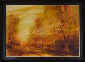 Szabó János (1942-): Sugárzó fények. Olaj, farost, jelzett, fa keretben, 50x70 cm