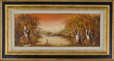 Bocsák Krisztina (1964- ): Őszi alkony. Olaj, farost, jelzett, díszes fa keretben, hátoldalán címkév...