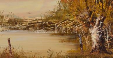 Bocsák Krisztina (1964- ): Őszi alkony. Olaj, farost, jelzett, díszes fa keretben, hátoldalán címkév...