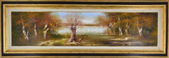 Bocsák Krisztina (1964- ): Tiszapart. Olaj, farost, jelzett, díszes fa keretben, hátoldalán címkével...