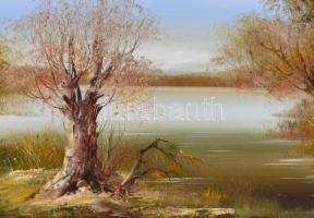 Bocsák Krisztina (1964- ): Tiszapart. Olaj, farost, jelzett, díszes fa keretben, hátoldalán címkével...