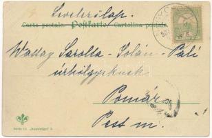 1903 Raubvögel. Serie II. 3. litho, unsigned Mailick (?) (EK)