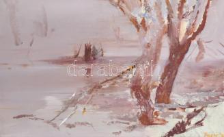 Fejér Csaba (1936-2002): Tiszapart télen. Olaj, farost, jelzett, fa keretben, 40×65 cm / Csaba Fejér ((1936-2002): Banks of the river Tisza during winter. Oil on wood fiber, framed, 40x65 cm
