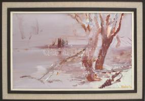 Fejér Csaba (1936-2002): Tiszapart télen. Olaj, farost, jelzett, fa keretben, 40×65 cm / Csaba Fejér...