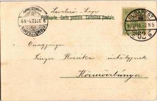 1903 Romantic couple. Art Nouveau, floral, litho. s: E. Döcker jun. (EK)