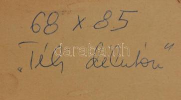 Paróczi Ágnes (1937-): Téli délután. Olaj, textilrelief, farost, jelzett, hátoldalán 2 címkével, fa ...