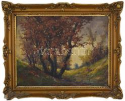 Vári Vojtovits Zoltán (1890-1953): Őszi hangulat. Olaj, vászon, jelzett, neobarokk stílusú, sérült f...