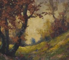 Vári Vojtovits Zoltán (1890-1953): Őszi hangulat. Olaj, vászon, jelzett, neobarokk stílusú, sérült f...