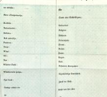 cca 1840-1850 Kitöltetlen útlevél, nyomtatta: Landerer és Heckenast / passport