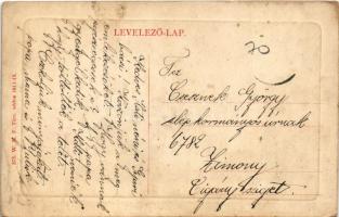 Szentendre, Ábrányi kastély. W.M.F. 375. (EK)