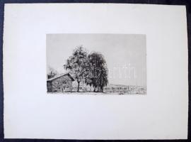 Boldizsár István (1897-1984): Balaton. Rézkarc, papír,  hátoldalán hagyatéki pecséttel. Lap széle en...