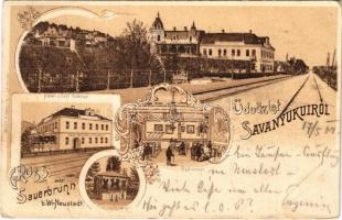 1904 Savanyúkút, Sauerbrunn; J. Pinesithz Belevue szálloda és kávéház, étkező belső, kút / Hotel und Café, Speisesaal, Quelle / hotel and cafe interior, dining hall, well. Art Nouveau, floral, litho (EB)