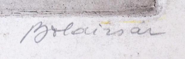 Boldizsár István (1897-1984): Semmelweis. Rézkarc, papír, jelzett. Hátoldalán Rézkarcoló Alkotóművés...