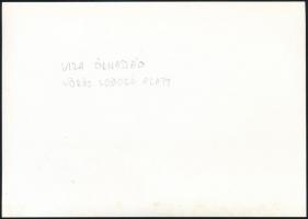 1919 A Dunai Flottila Viza őrnaszádja, az 1980-as években eredeti negatívról előhívott fotó, 13×18 c...