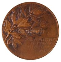 Telcs Ede (1872-1948) 1906. "Gróf Andrássy Gyula / Szoboremlékének lepelhullása alkalmából 1906...