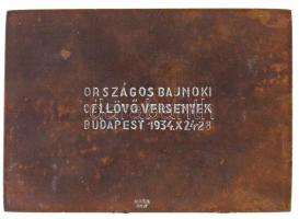 Berán Lajos (1882-1943) 1940. "Országos Magyar Lövész Szövetség 1871" fém emlékplakett, há...