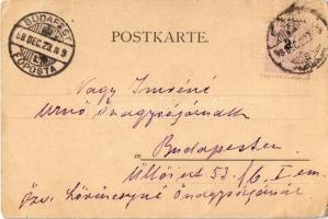 1898 Glück und Gruß! / Romantic couple kissing. Fr. A. Ackermann Kunstverlag Künstlerpostkarte No. 5...