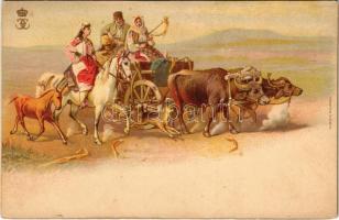 Romanian folklore art postcard, ox cart. I.V. Socecu, Bucuresci litho (tiny tear)