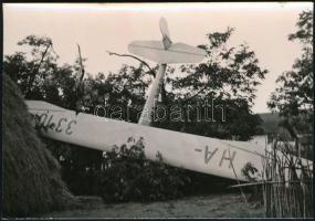 1952 Egy tanya udvarára zuhant vitorlázó repülőgép fotója, 6,5×9,5 cm