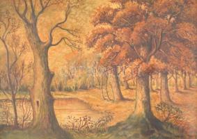 Csergezán jelzéssel: Őszi erdő. Olaj, karton, sérült keretben, 50x70 cm