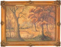 Csergezán jelzéssel: Őszi erdő. Olaj, karton, sérült keretben, 50x70 cm