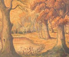 Csergezán jelzéssel: Őszi erdő. Olaj, karton, sérült keretben, 50x70 cm
