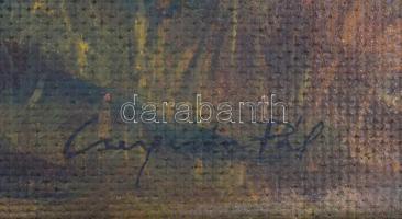 Csergezán jelzéssel: Őszi erdő. Olaj, karton, sérült keretben, 50x70 cm