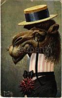 Camel in hat. J.S. & Co. M. Nr. 2640. s: Arthur Thiele (tear)