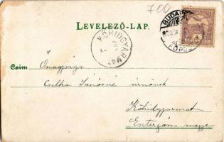 1900 Cat with dog, litho (EM)