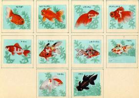 403 darabos japán gyufacimke gyűjtemény szépen rendszerezve mappábal