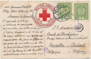 Rotes Kreuz Jugendfürsorge 1914-1915-1916 / WWI Red Cross youth charity fund (fl)