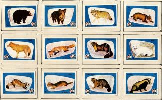 576 darabos jugoszláv gyufacimke-gyűjtemény