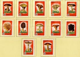 576 darabos jugoszláv gyufacimke-gyűjtemény