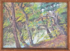 Nemes Béla (1912-1972): Fák a Hámori tó partján. Olaj, karton, jelzés nélkül, hátoldalán a Műcsarnok...