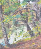 Nemes Béla (1912-1972): Fák a Hámori tó partján. Olaj, karton, jelzés nélkül, hátoldalán a Műcsarnok...