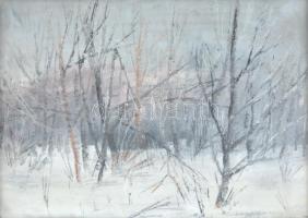 Nemes Béla (1912-1972): Téli táj. Olaj, karton, jelzés nélkül, hátoldalán a művész lánya eredetiség igazolásával, üvegezett fa keretben, 24x34 cm