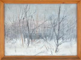 Nemes Béla (1912-1972): Téli táj. Olaj, karton, jelzés nélkül, hátoldalán a művész lánya eredetiség ...