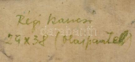 Hajtun Klára (1924-1997): Öreg kancsó. Olajpasztell, vászon, jelzett, hátoldalán feliratozott és dat...