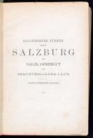 Josef Rabl: Illustrirter führer durch Salzburg das Salzkammergut und Berchtesgadner-land mit besonde...