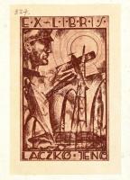 Josef Rabl: Illustrirter führer durch Steiermark und Krain mit besonderer Berücksichtigung der Alpen...