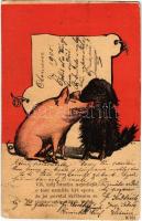 1905 Vís, muj brachu nejmilejsí, o tom nemuze byt sporu, ze jsi povstal skrízením se techto roztomilych tvoru / Czech greeting art postcard with pig. B. 761. s: E. I. (EK)