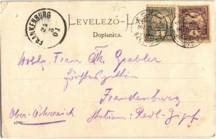 1901 Erdőd, Erdut; Rusevina u Erdutu / Ruine in Erdőd / vár. Phot. u. Verlag v. Eugen Selzer / castl...