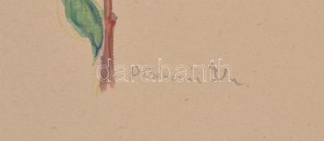 D. Benczúr Ida jelzéssel: Virágok. Akvarell, papír, lap szélén apró szakadással és hiánnyal, 39×30,5...