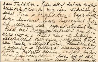 Nekcse, Nasice; Gróf Pejacsevich kastély / Dvor preuzvisenog gosp. grofa Pejacsevicha / Schloss / ca...