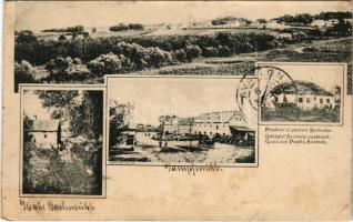 1911 Szerémszolnok, Szolnokpuszta, Puszta-Szolnok, Zarkovac (Ruma); gőzmalom, malom / Bachmühle, Dampfmühle / steam mill (ázott / wet damage)