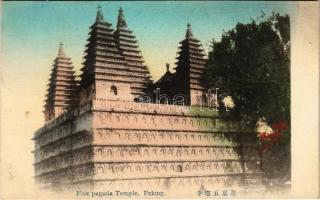 Beijing, Peking; Five Pagoda temple