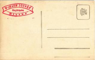 Bicske, ünnepi viseletbe öltözött nemzeti színű szalagos leány. Wokaun József fényképész, photo